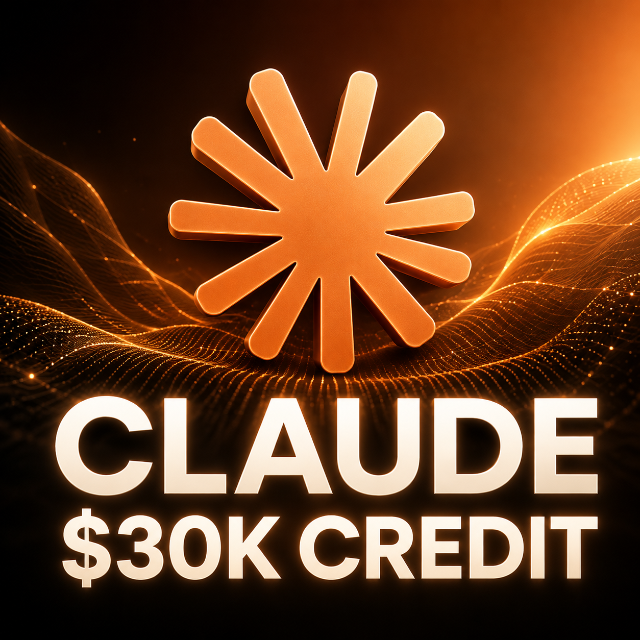 Claude $30K Credit Organization — US Startup